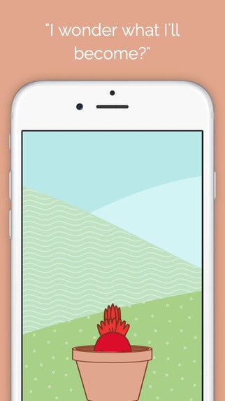 Seedlings gallery image