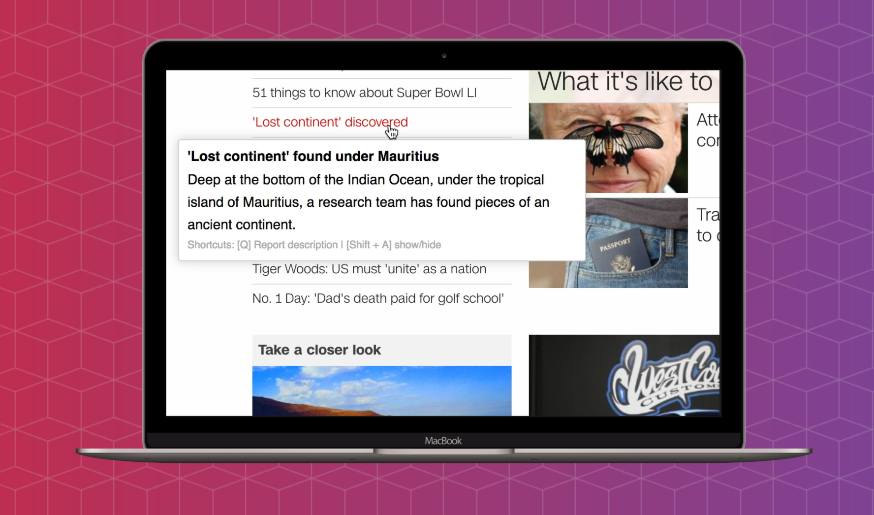 Antibait gallery image