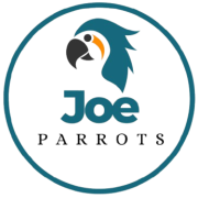 joeparrots