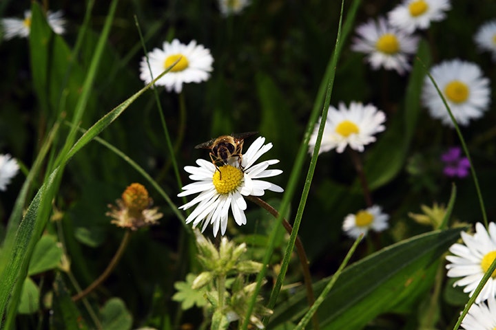 MyPhotoPack gallery image