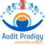 Audit Prodigy