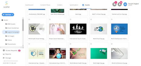 Scatter Content Box gallery image