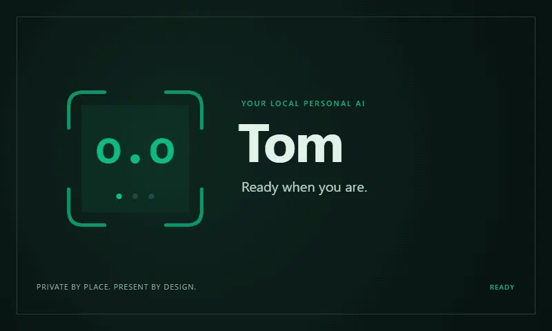Tom screenshot 3