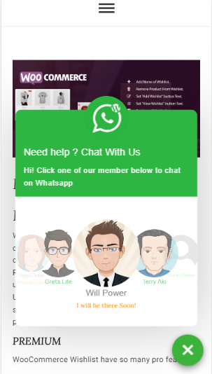 Chat on WhatsApp - Plugin for WordPress gallery image