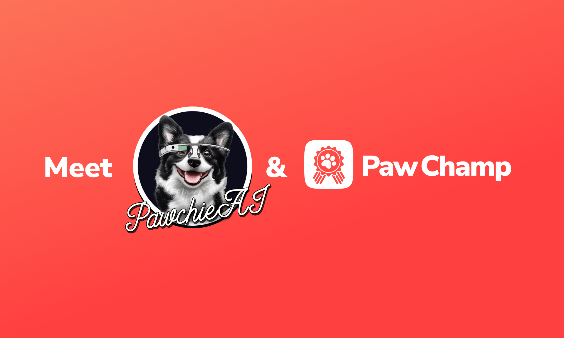 PawChamp gallery image