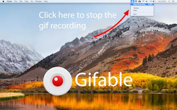 Gifable gallery image