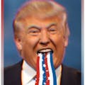 Trump Cards