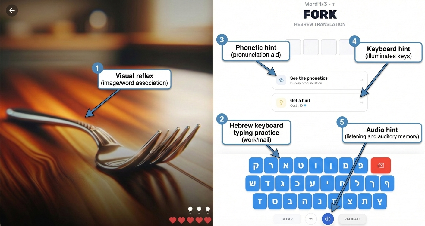 getLAVI.com gallery image