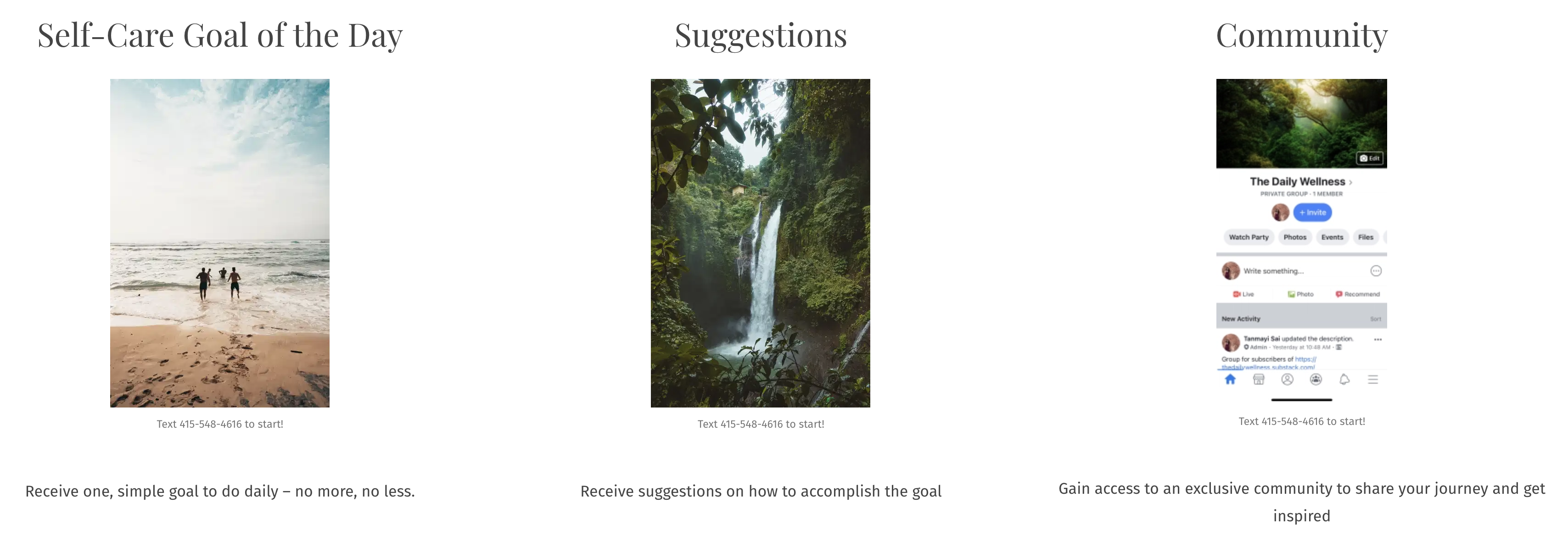 The Daily Wellness gallery image