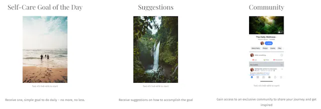 The Daily Wellness gallery image