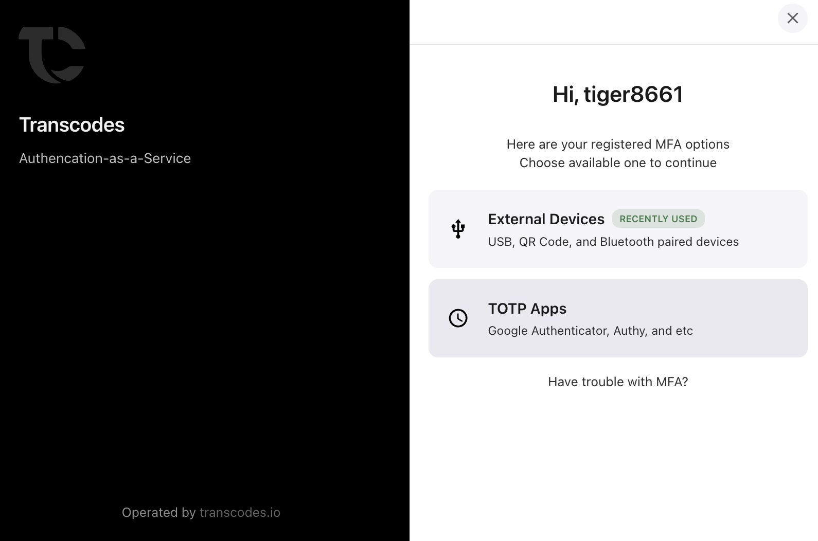 Transcodes - Screenshot 3 showing product features and functionality