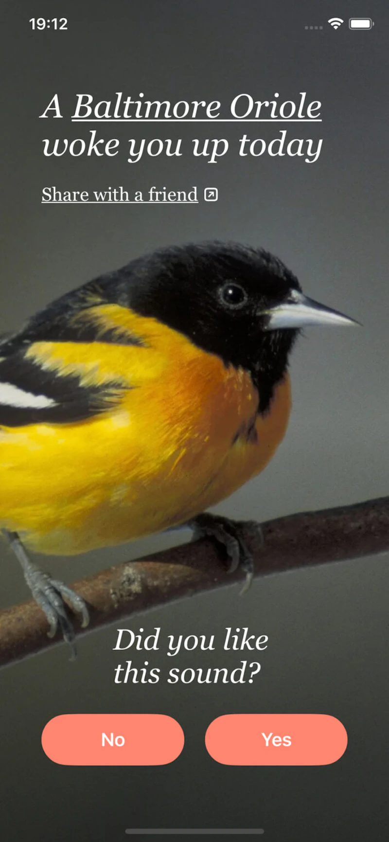 Bird Rise screenshot 5