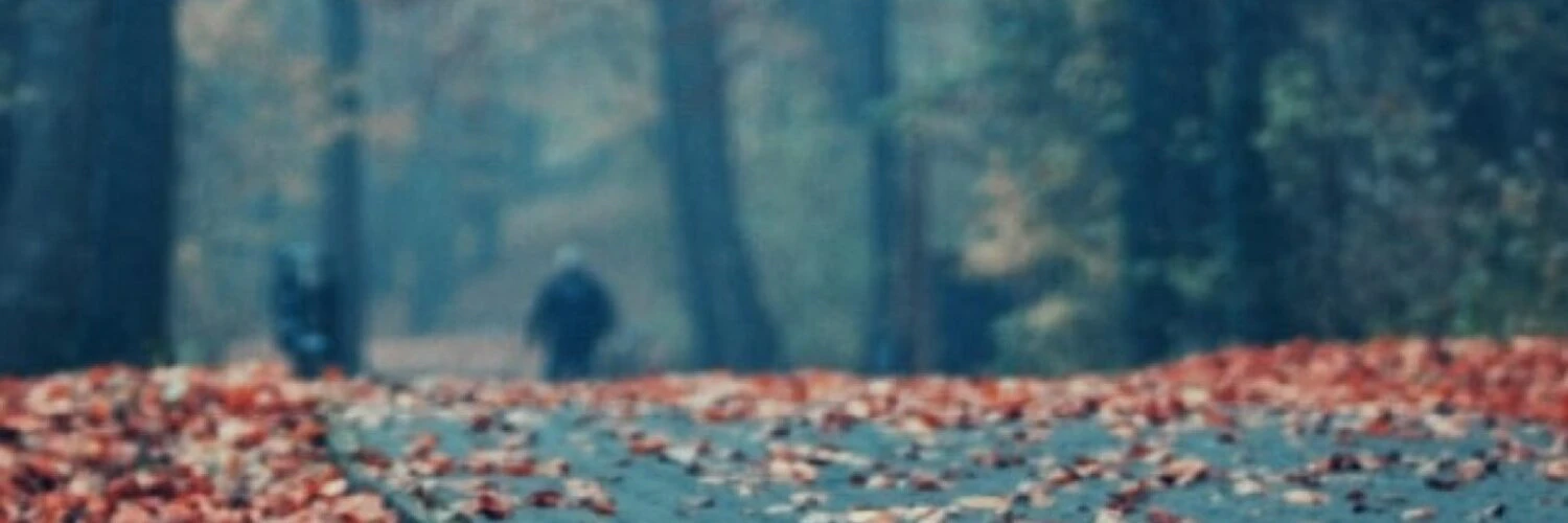 Jordan Fitzsimmons cover