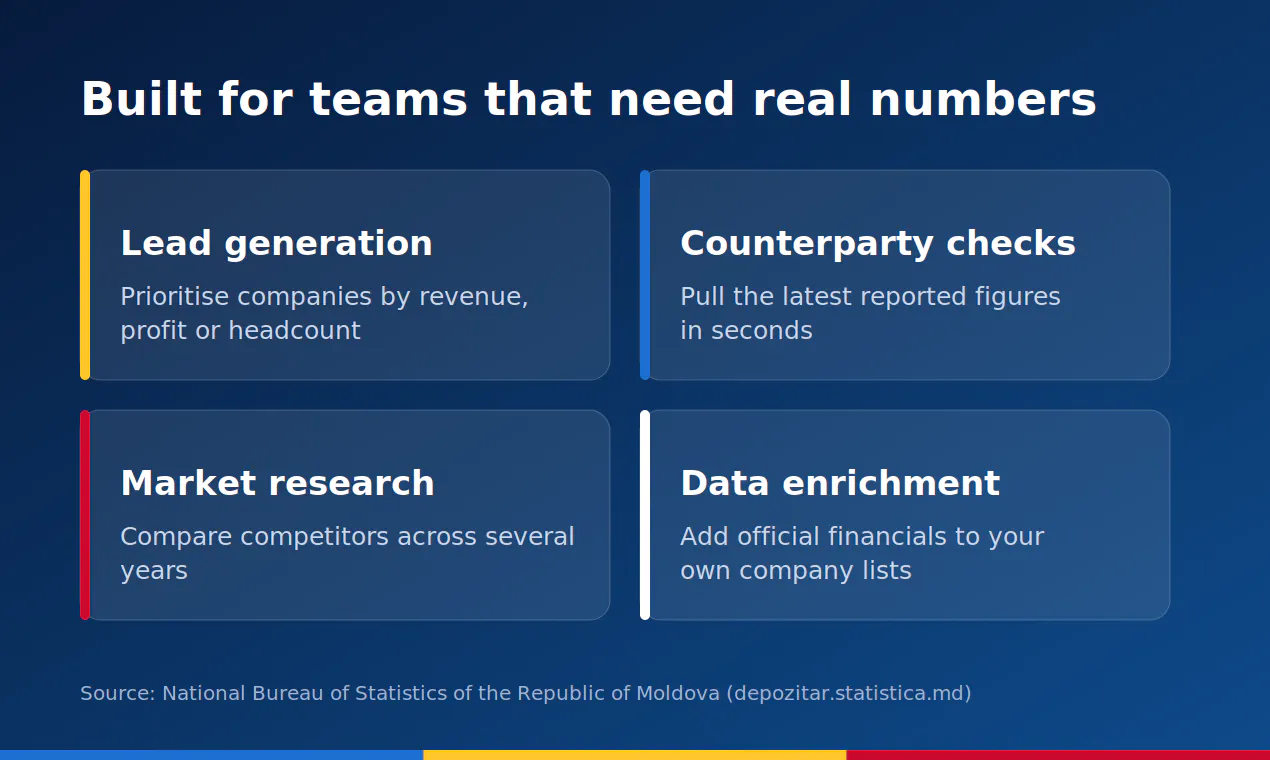 Moldova Company Financial Statements gallery image