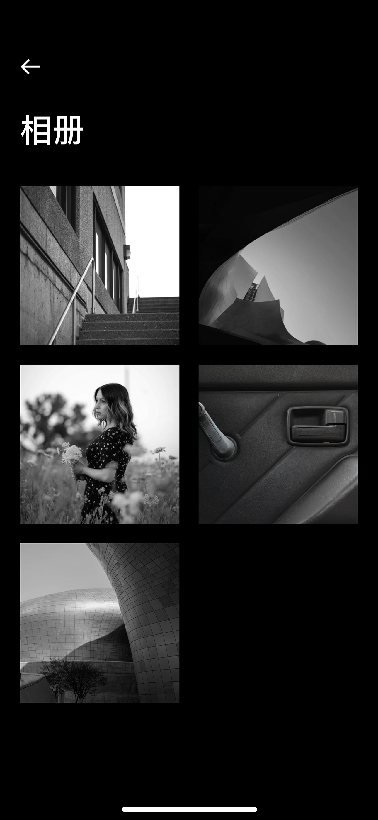 RavenCam gallery image