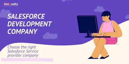 Salesforce Development Company gallery image