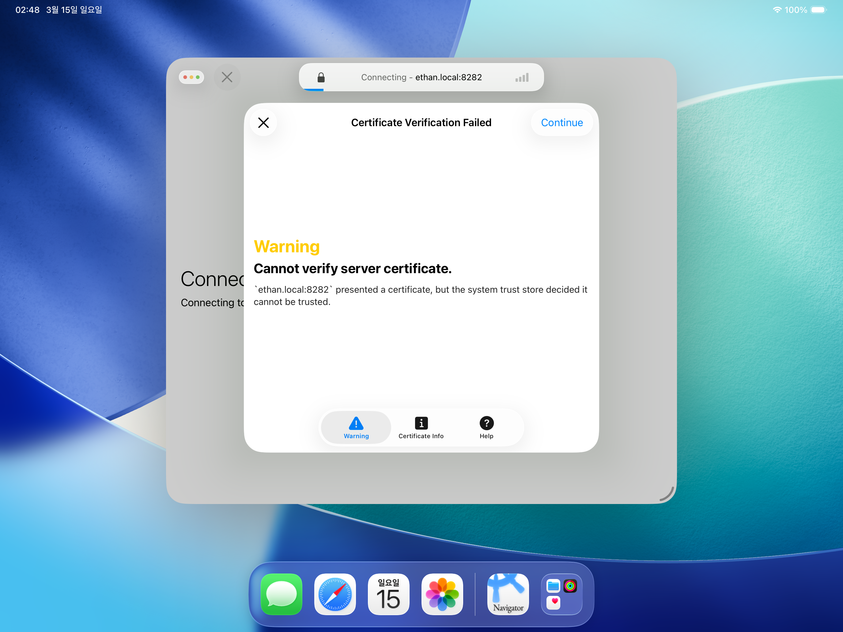 Noctiluca gallery image