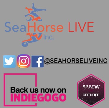 Squavel gallery image