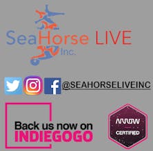 Squavel gallery image