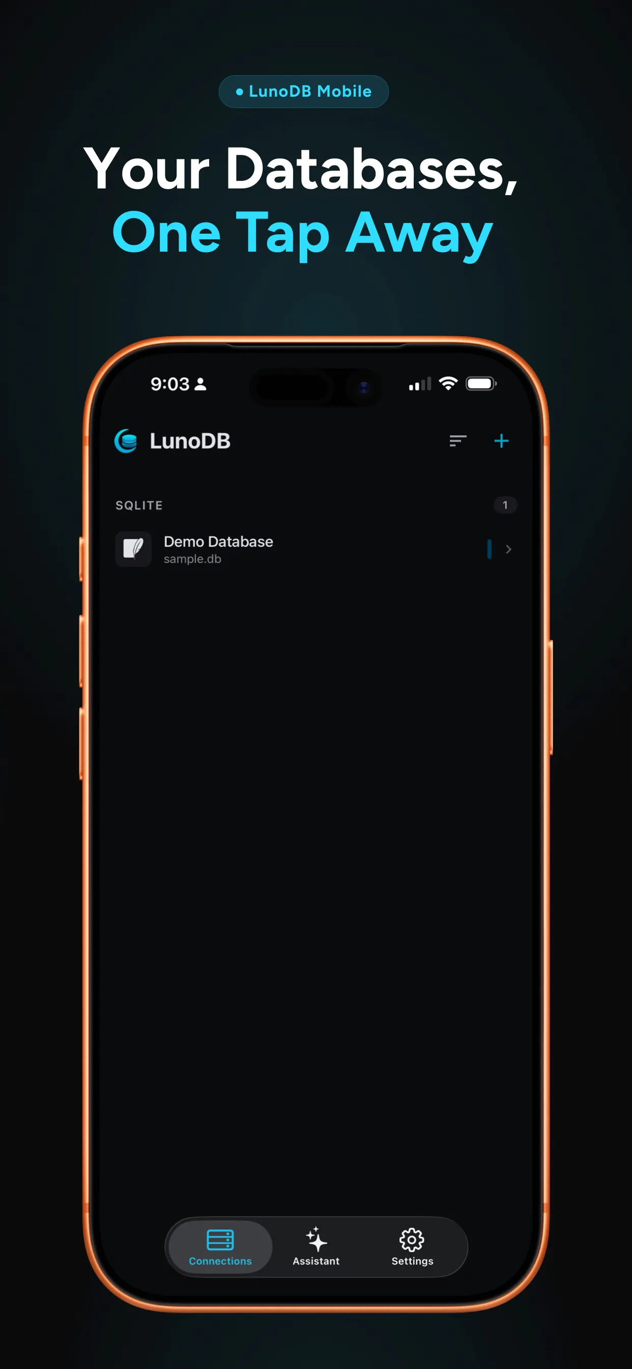 LunoDB Mobile gallery image
