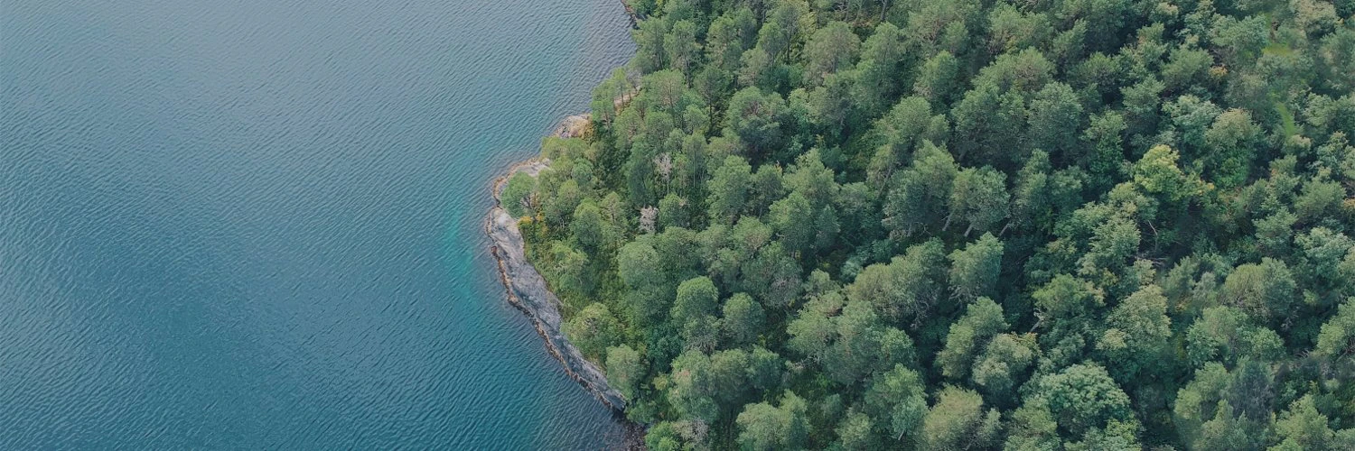 Nil Castellví cover