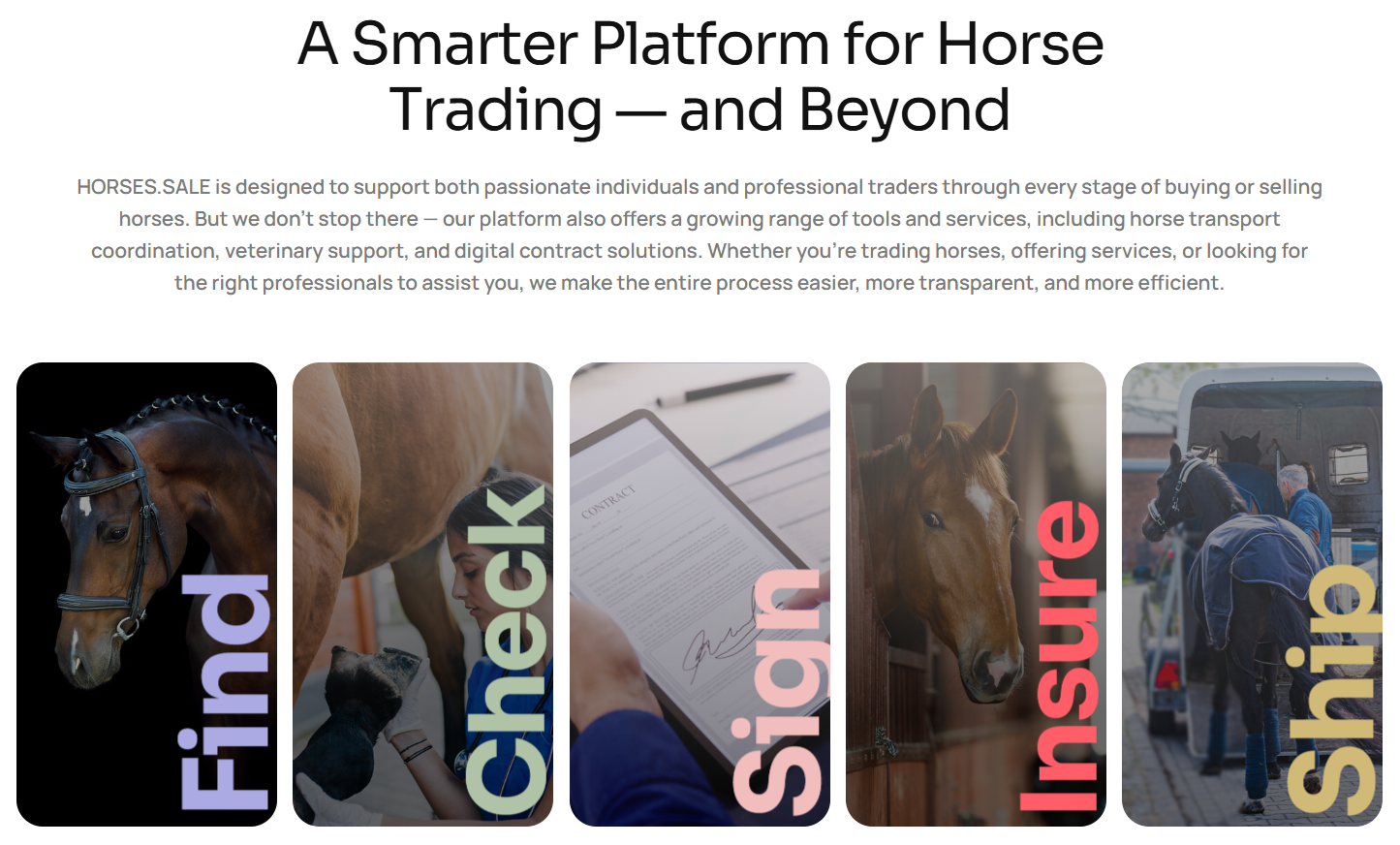 HORSES.SALE मीडिया 1