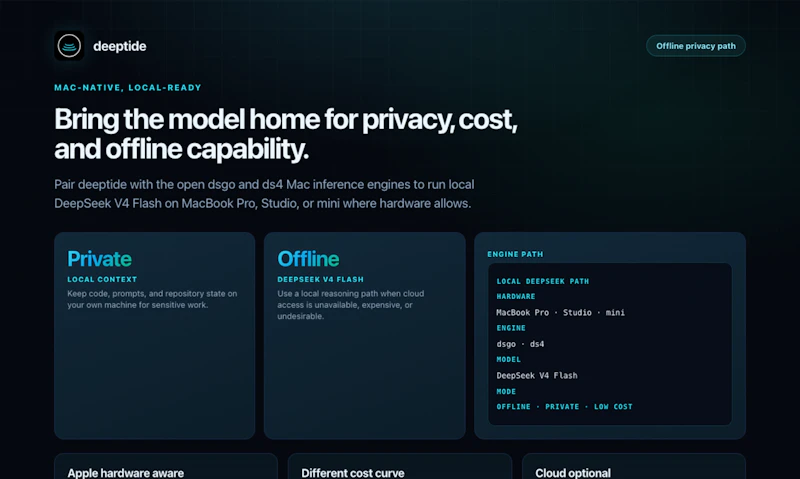 Deeptide -A Native DeepSeek Coding Agent screenshot 5