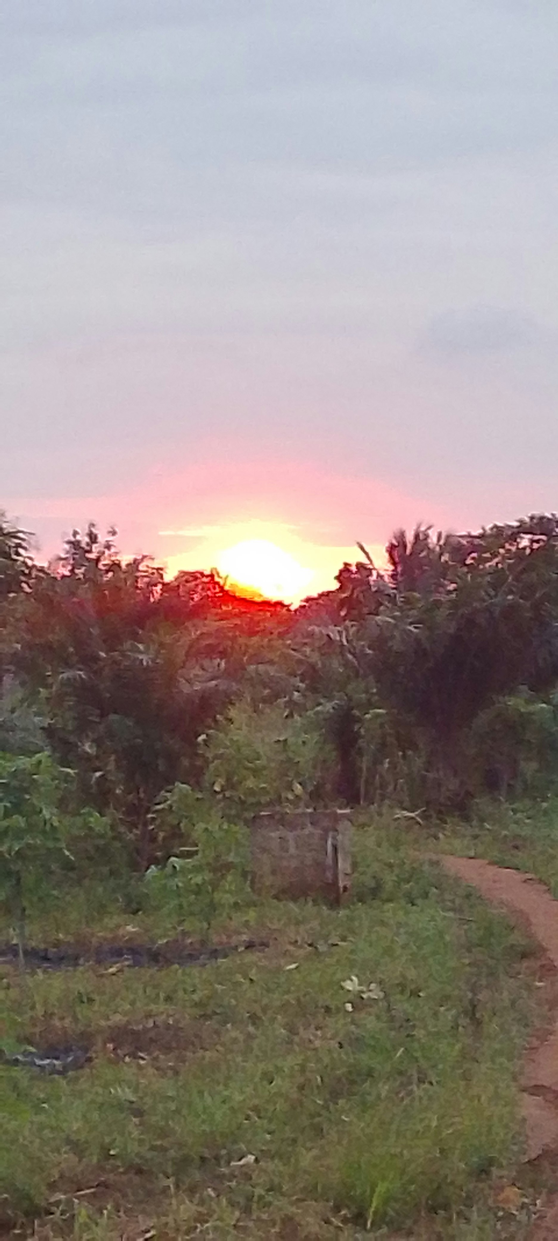 Voyageur gallery image