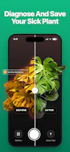 LivePlant : Plant Identifier gallery image