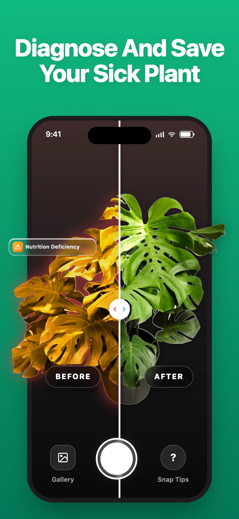LivePlant : Plant Identifier screenshot 3