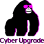 Cyber Upgrade