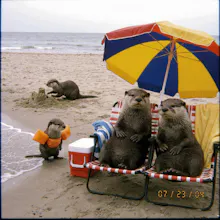 Uni-1 by Luma gallery image