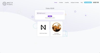 Meta Pool gallery image