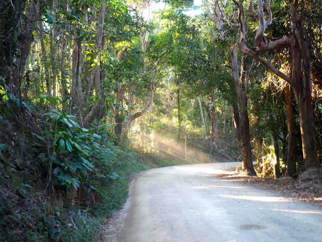 Faded Borders Weekly Newsletter