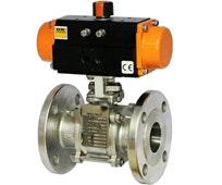 Non Slam Disc Check Valve gallery image