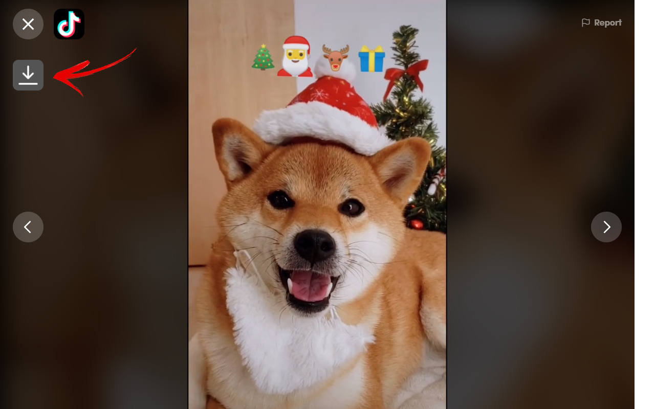 Video downloader for TikTok gallery image