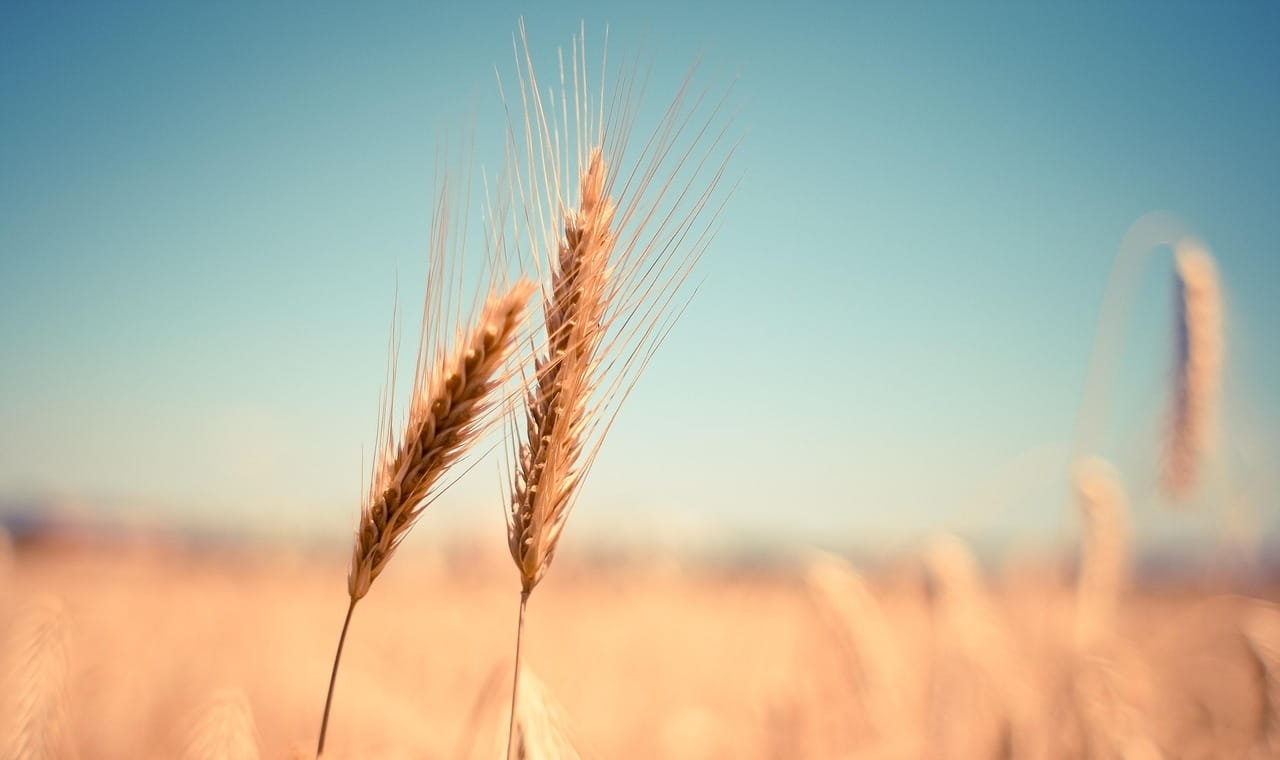 My Bible Verses gallery image