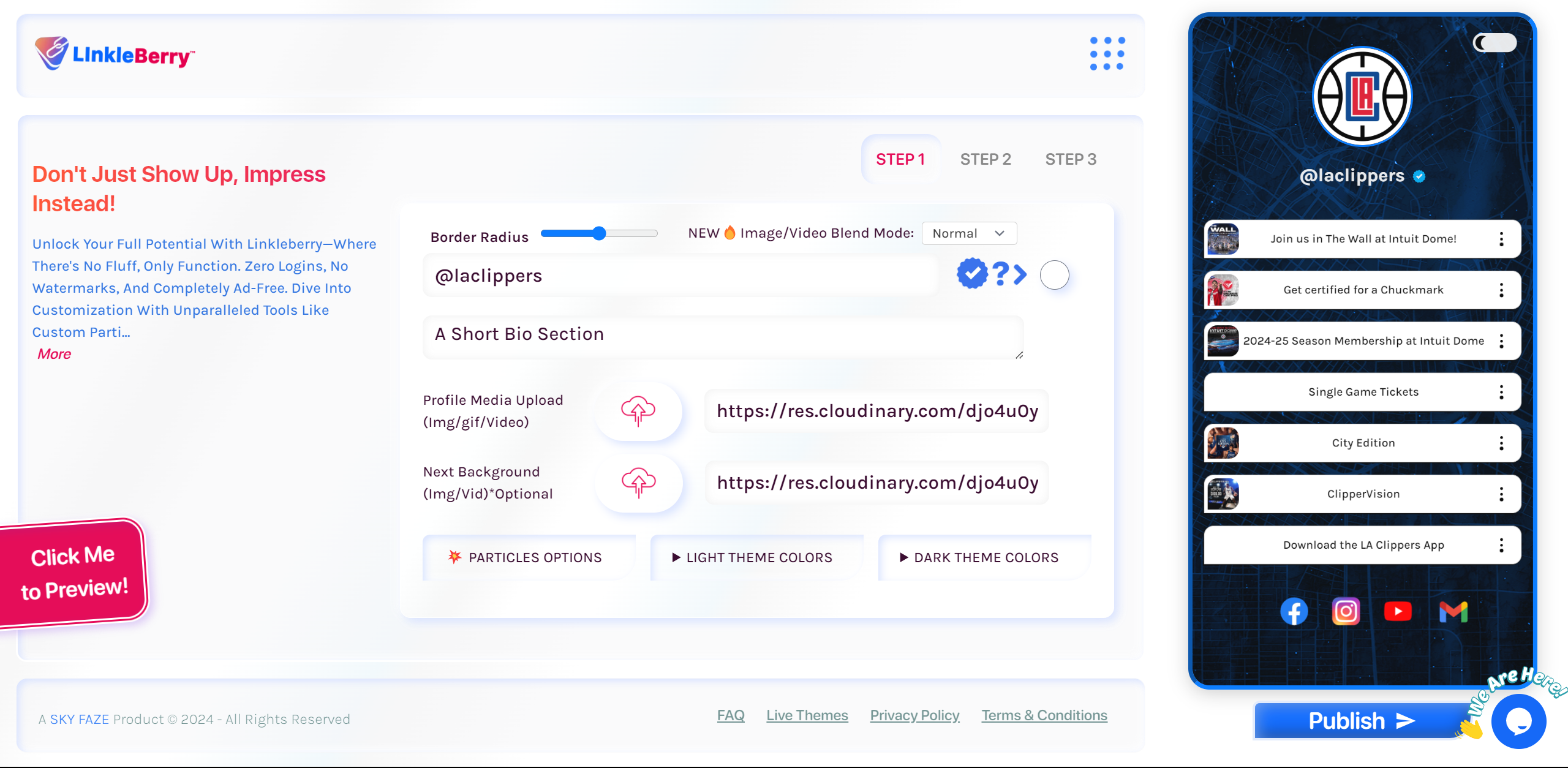 Linkleberry media 1