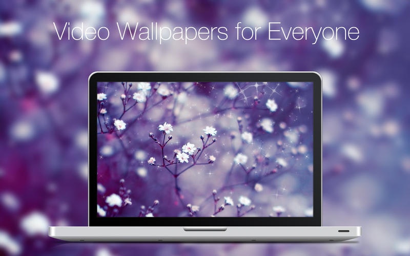 Live VideoWall gallery image