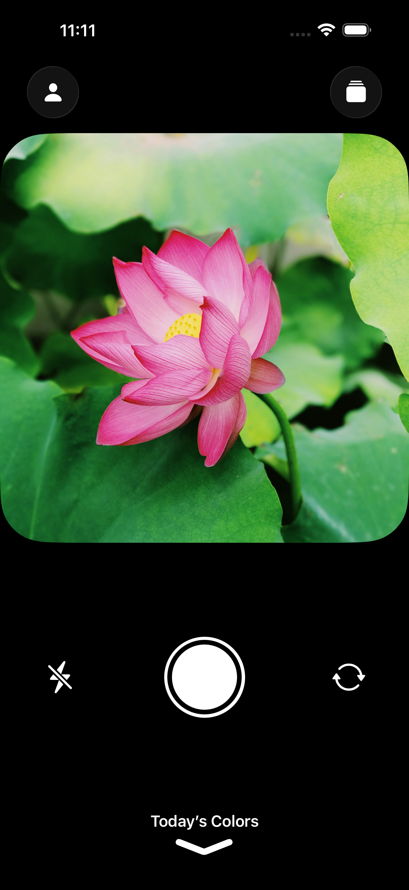 Paletty gallery image