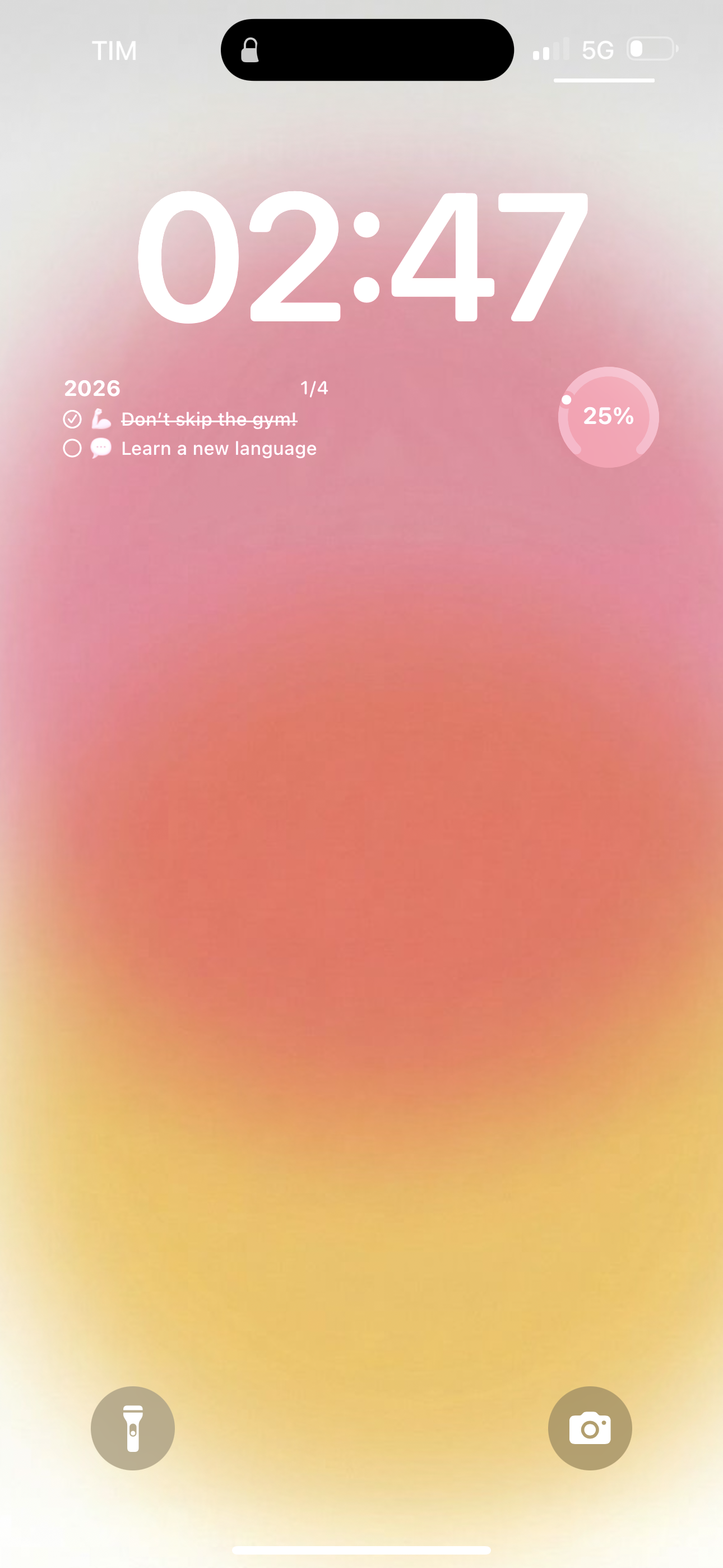 2026 Goals - Screenshot 2 showing product features and functionality