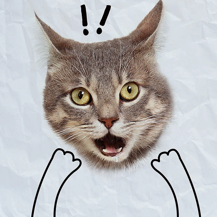 The Atypical Sketchbook