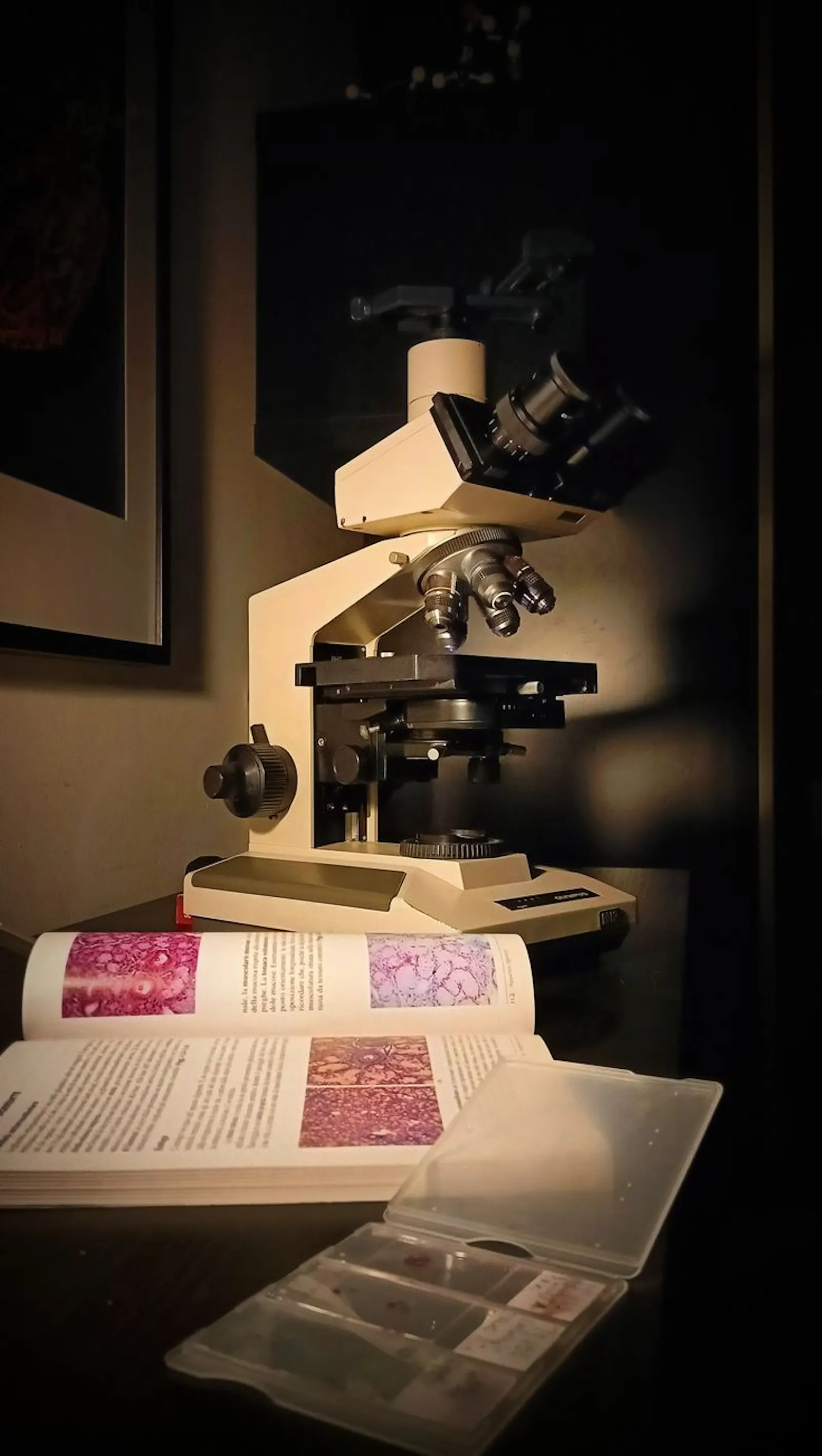 LabPedia screenshot 4