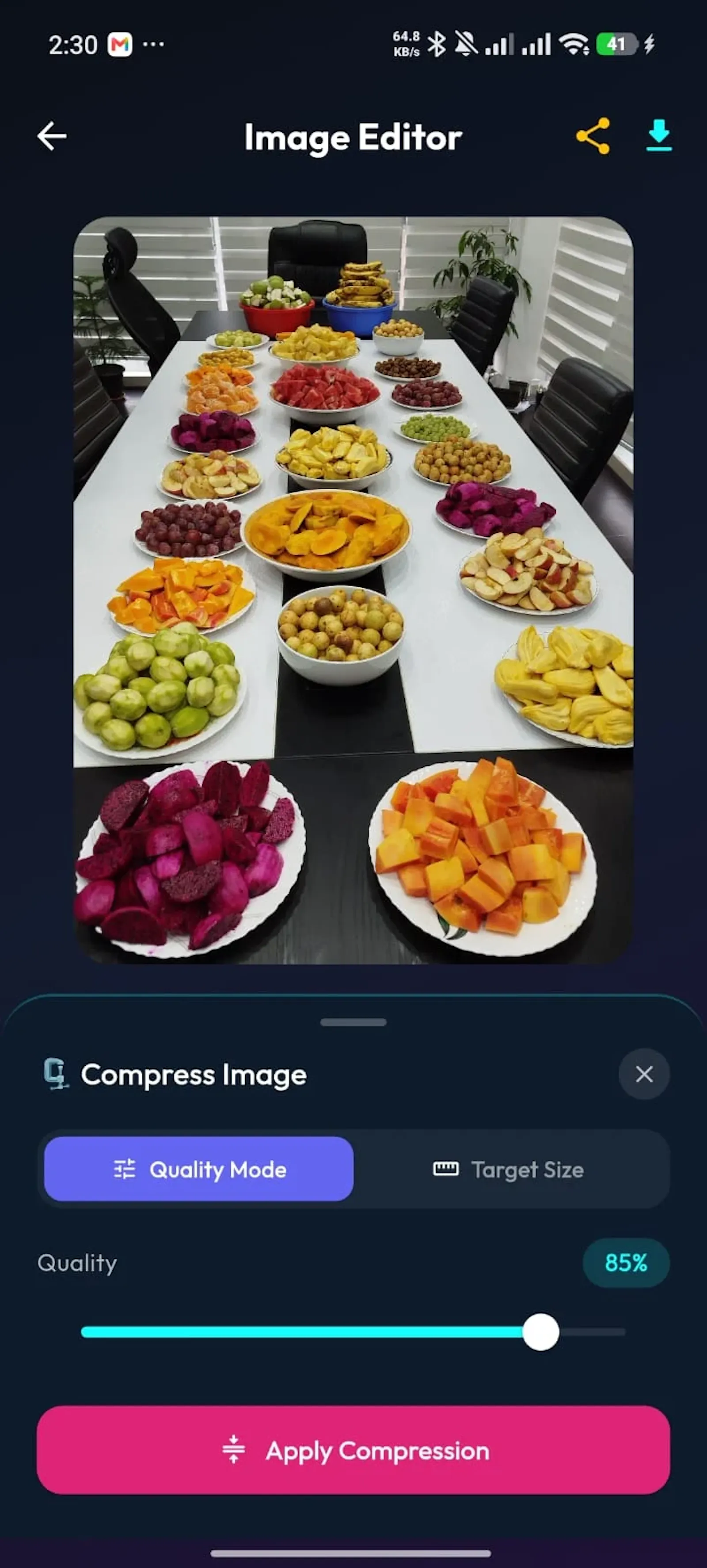 SqueezePix screenshot 2