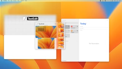 Lasso - window manager for macOS gallery image