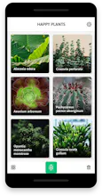 HappyPlants gallery image
