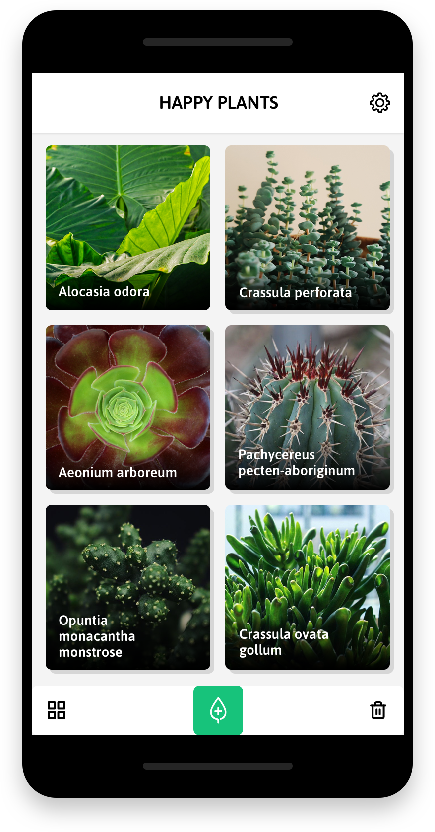 HappyPlants Image