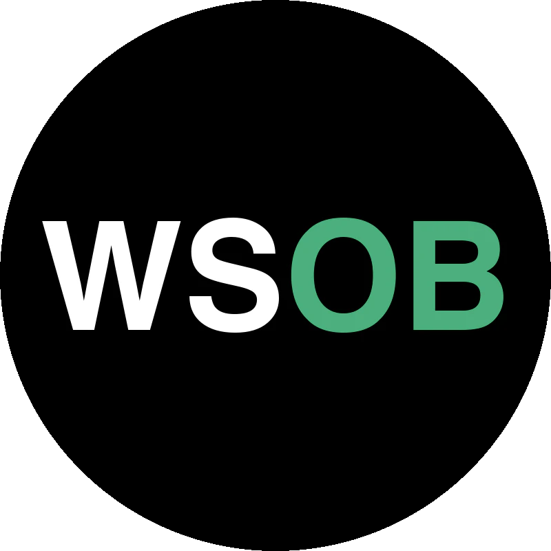 WSOB — Wall Street Option Bets