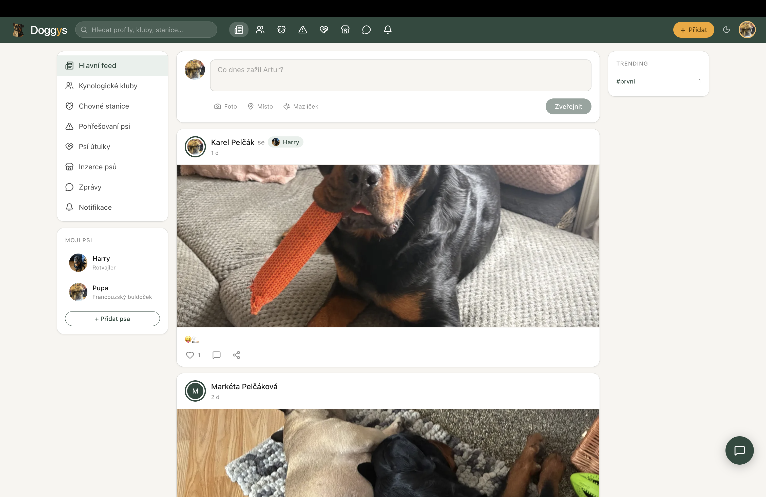 Doggys.net gallery image