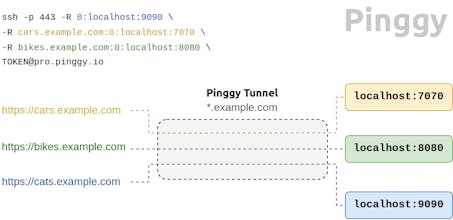 Pinggy Multi Port Forwarding gallery image